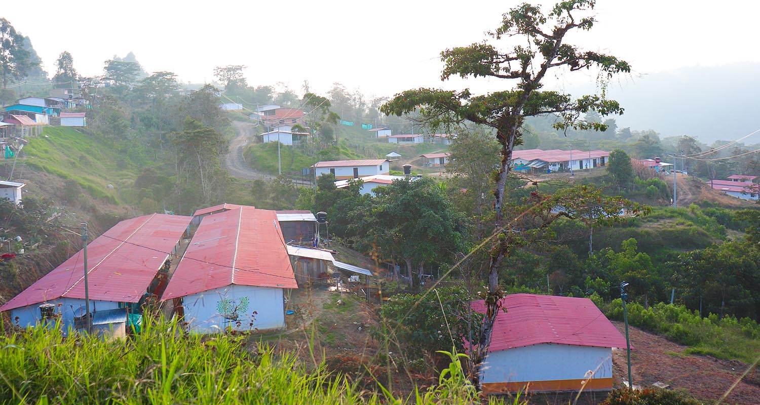 A trav&eacute;s del lente de los hijos e hijas de la paz