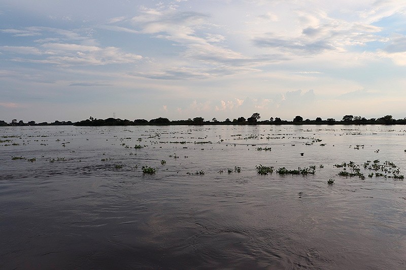 &ldquo;Todas las formas de violencia pasaron por el rio Magdalena&rdquo;