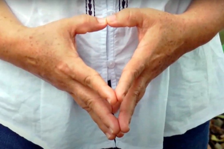 La matriz que Forjando Futuros entreg&oacute; a la Comisi&oacute;n de la Verdad sobre el despojo de tierras en Colombia