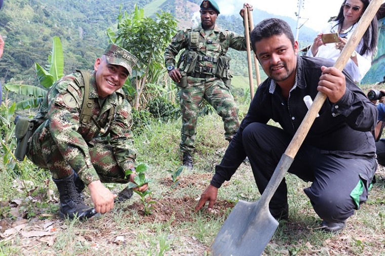 El sur de Tolima le apuesta a la no repetici&oacute;n