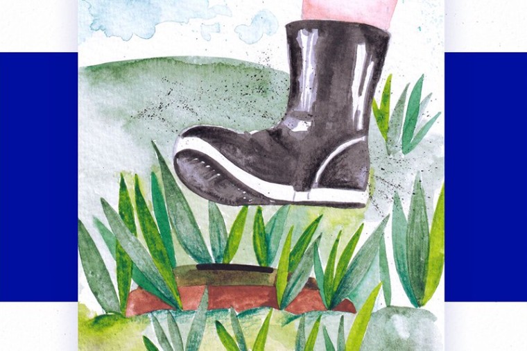 No m&aacute;s trampas explosivas, minas ni municiones