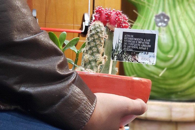 El cactus representa la resistencia de los ni&ntilde;os v&iacute;ctimas que lograron florecer a&uacute;n en medio de las situaciones m&aacute;s adversas.