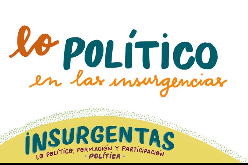 Lo pol&iacute;tico en las insurgencias