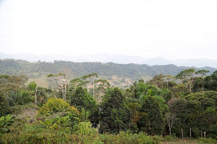 Putumayo defiende la vida y construye rutas de paz y verdad