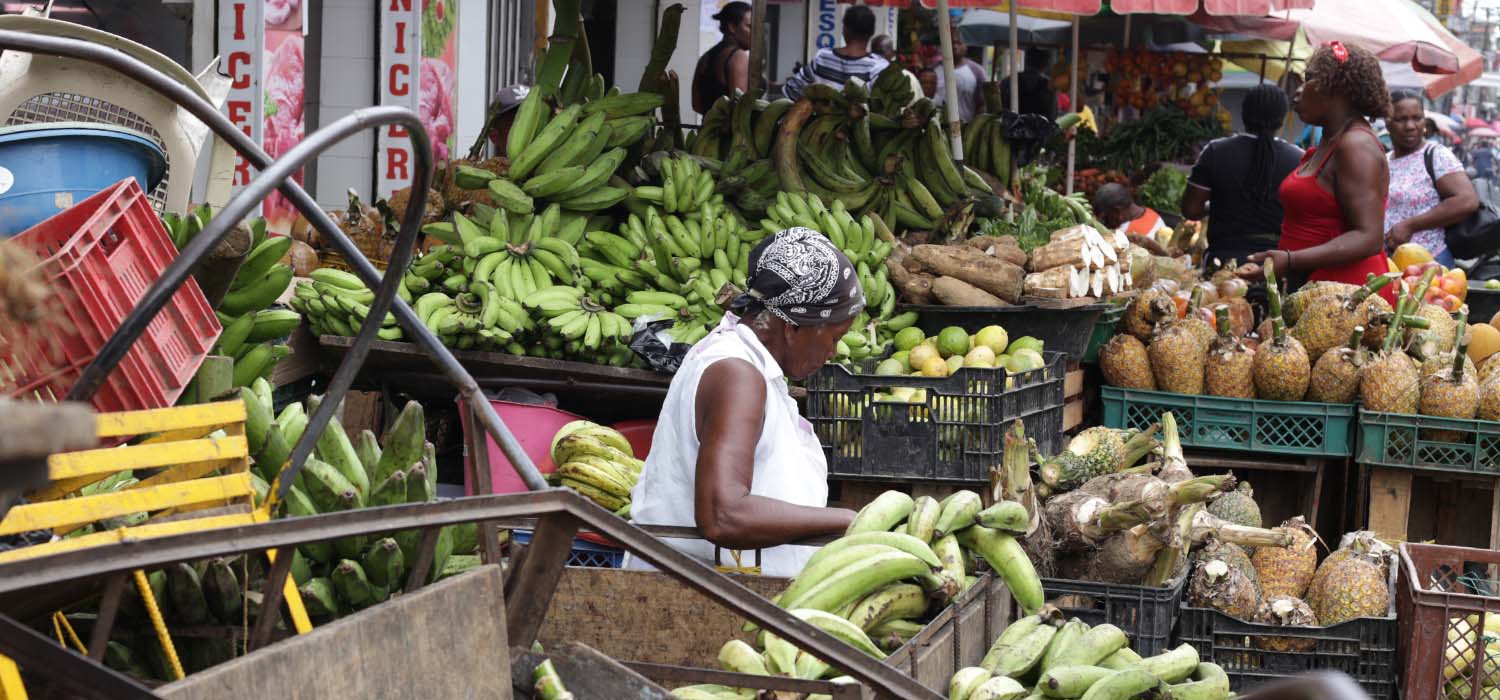 Quibd&oacute; no se rinde en su lucha por la paz
