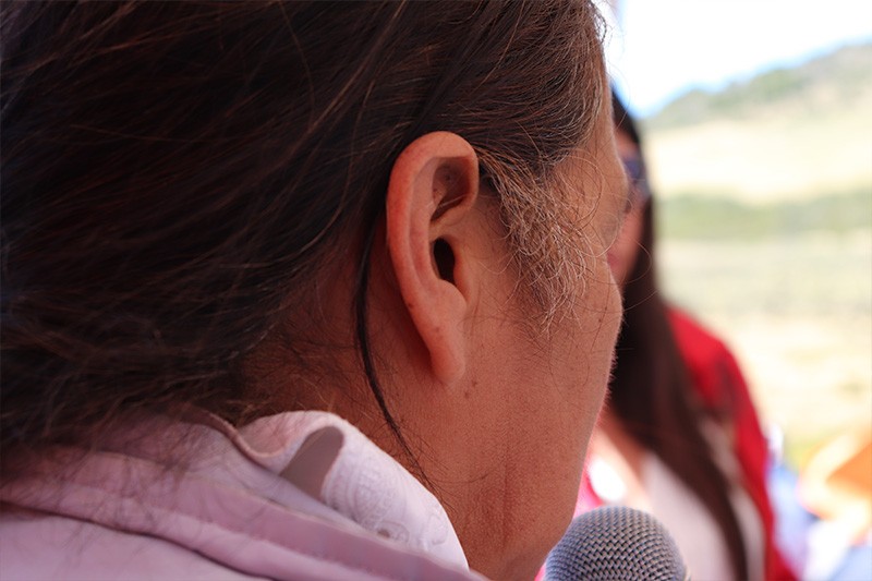 Teresa, María y Bernarda: tres historias de resistencia del campesinado colombiano 