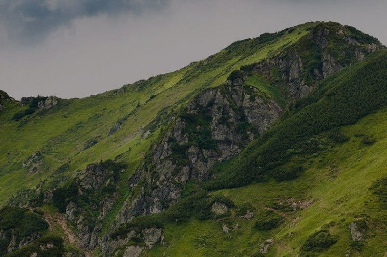 Se&ntilde;ales de vida y libertad