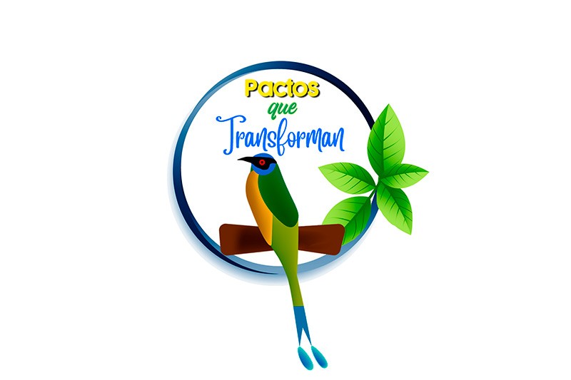 Pactos que transforman: relatos de convivencia 