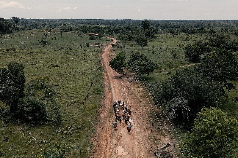 &ldquo;Volvimos para quedarnos&rdquo;: conflicto y resistencia campesina en la Trocha Ganadera
