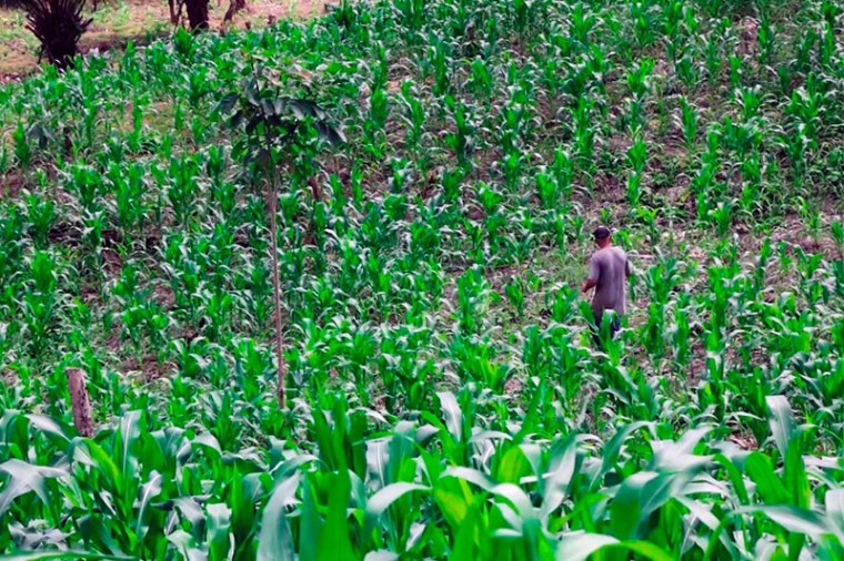 &iquest;Qu&eacute; tiene la exguerrilla de las FARC-EP para decirle a las 33.704 v&iacute;ctimas de San Pedro de Urab&aacute;?