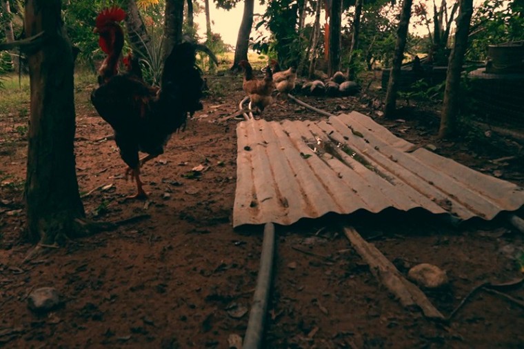 La masacre invisible de San Pedro de Urab&aacute;