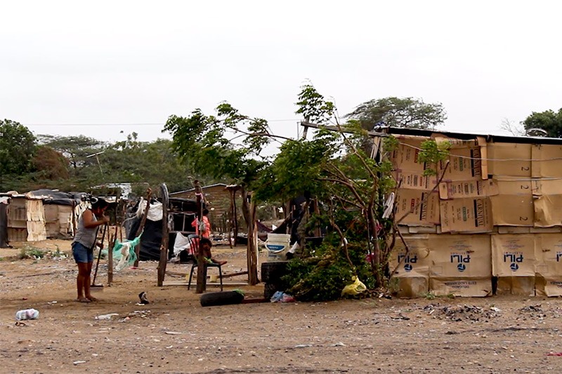Los territorios ind&iacute;genas en medio del conflicto armado, el confinamiento, la hambruna y el exterminio